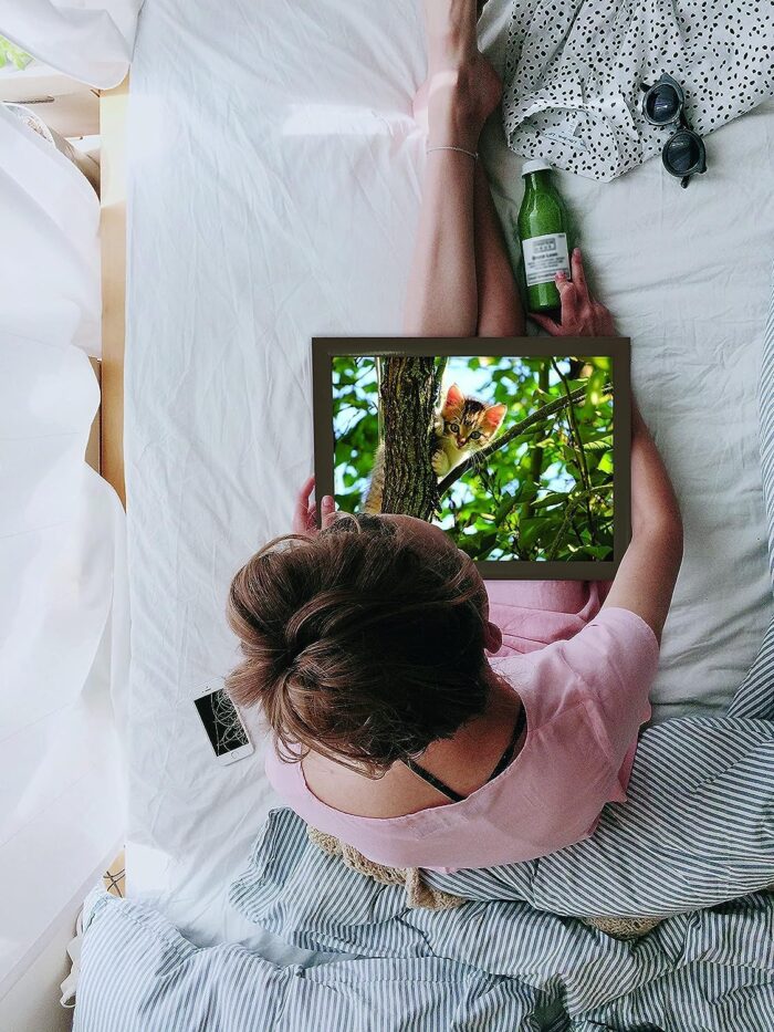 Large Lap Tray Wooden Climbing Cat On Tree Soft Padded Cushioned Bean Bag, Laptop, TV, Breakfast, Dinner, Food, Drink, Portable Lightweight Home Office Serving Tray